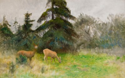 Roe Deer in Summer Greenery by Bruno Andreas Liljefors